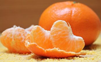 Does Vitamin C Really Cure Your Common Cold? Do Oranges Work Better Than Pills?